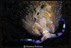 in the dark by Nonna Pokras 